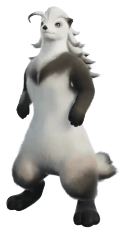 Piopiota