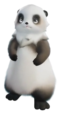 Popota